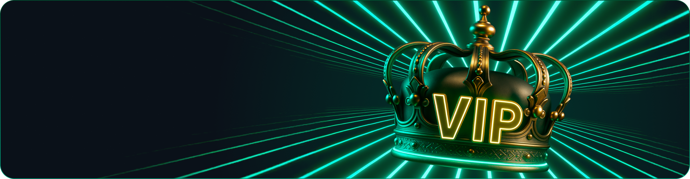 VIP Experience Banner