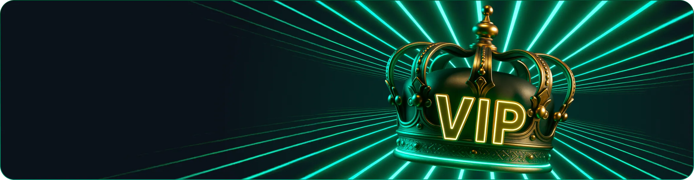 VIP Experience Banner